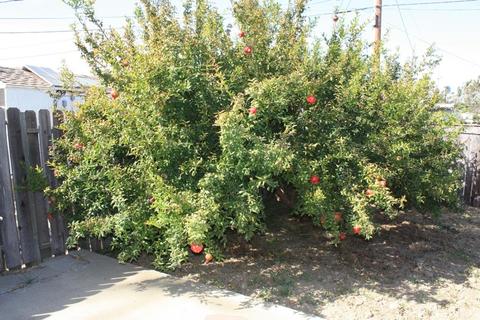 1001 W Cherry Ave, Lompoc, CA 93436 photo 22