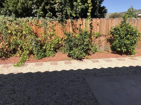 513 E Birch Ave, Lompoc, CA 93436 photo 21