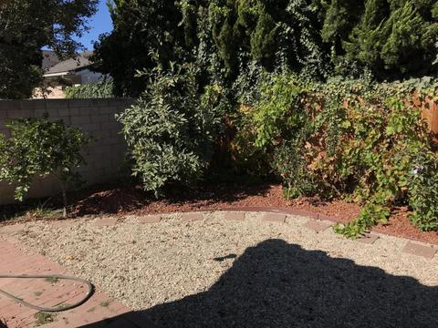 513 E Birch Ave, Lompoc, CA 93436 photo 20