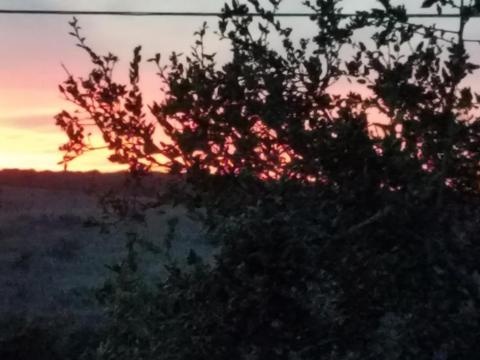 428 Milky Way, Lompoc, CA 93436 photo 21