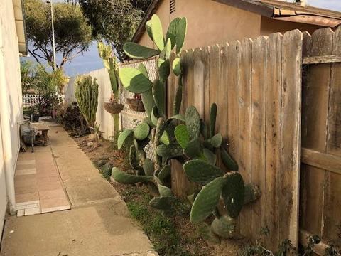 517 N Y St, Lompoc, CA 93436 photo 28