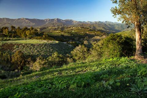 8316 Bates Rd, Carpinteria, CA 93013 photo 22