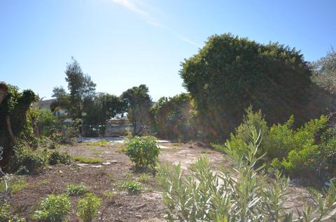 6649 Abrego Rd, Goleta, CA 93117 photo 4