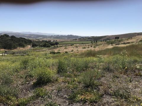 4815 E Hwy 246, Lompoc, CA 93436 photo 17