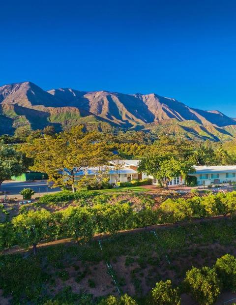 1071 Rancho Dr, Ojai, CA 93023 photo 5