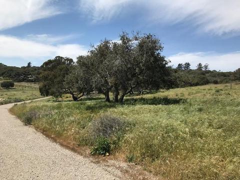 2020 Cebada Canyon Rd, Lompoc, CA 93436 photo 9