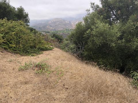 7305 Shepard Mesa Rd, Carpinteria, CA 93013 photo 7