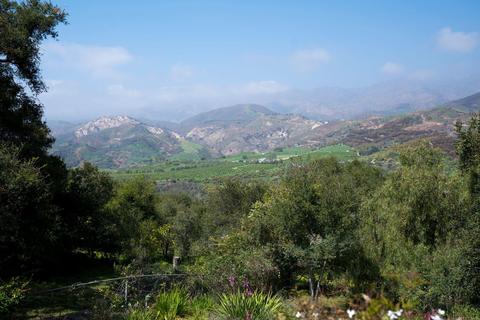7305 Shepard Mesa Rd, Carpinteria, CA 93013 photo 13