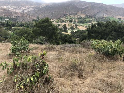 7305 Shepard Mesa Rd, Carpinteria, CA 93013 photo 6