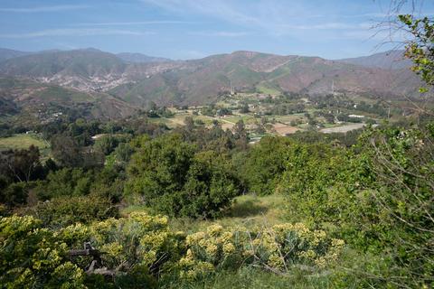 7305 Shepard Mesa Rd, Carpinteria, CA 93013 photo 1