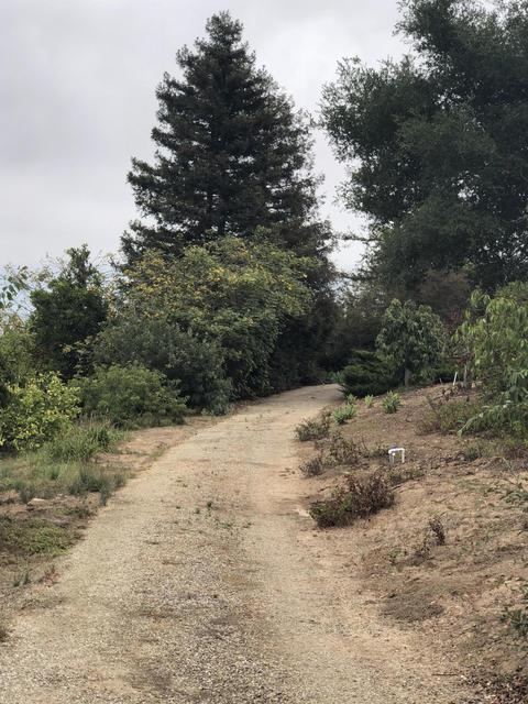 7305 Shepard Mesa Rd, Carpinteria, CA 93013 photo 9