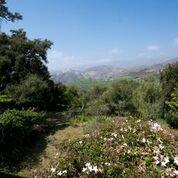 7305 Shepard Mesa Rd, Carpinteria, CA 93013 photo 12