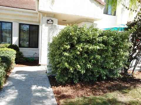 4904 Sawyer Ave, Carpinteria, CA 93013 photo 24