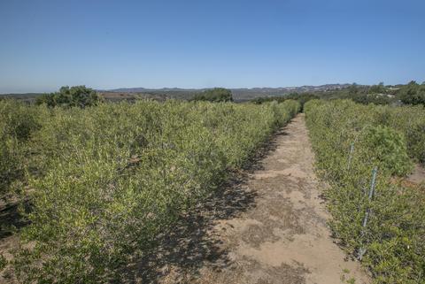 2625 Wild Oak Rd, Lompoc, CA 93436 photo 20