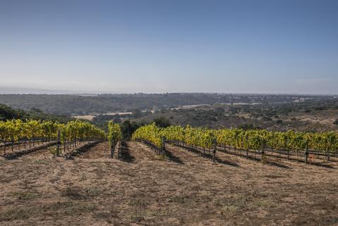 2625 Wild Oak Rd, Lompoc, CA 93436 photo 22