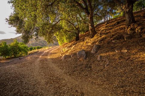 1563 Gridley Rd, Ojai, CA 93023 photo 26
