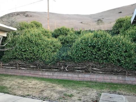 1528 Sheffield Dr, Lompoc, CA 93436 photo 29
