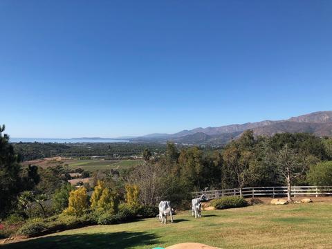 6965 Shepard Mesa Rd, Carpinteria, CA 93013 photo 27