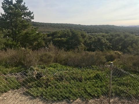 3612 Via Orilla, Lompoc, CA 93436 photo 17