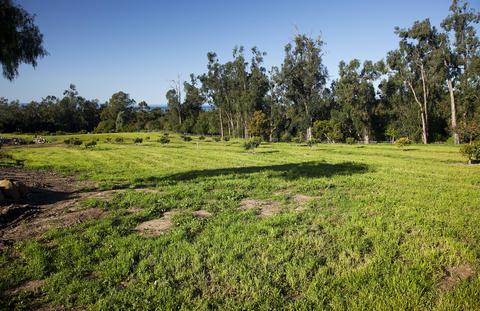 1937 Monte Alegre Dr, Carpinteria, CA 93013 photo 3