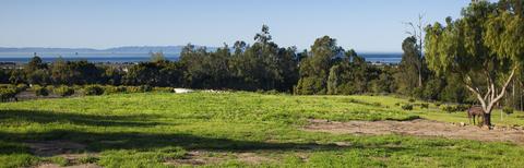1937 Monte Alegre Dr, Carpinteria, CA 93013 photo 2