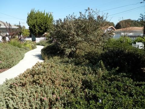502 N 3rd St, Lompoc, CA 93436 photo 18