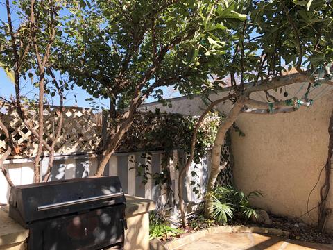 1000 Bailard Ave #D, Carpinteria, CA 93013 photo 15