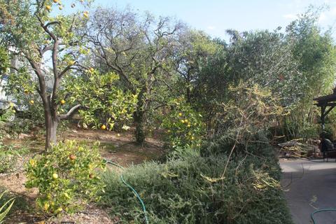 940 El Centro St, Ojai, CA 93023 photo 17
