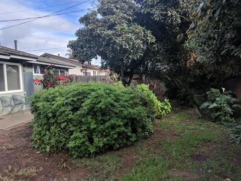 1320 E Lemon Ave, Lompoc, CA 93436 photo 25