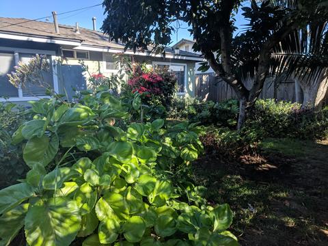 1320 E Lemon Ave, Lompoc, CA 93436 photo 24