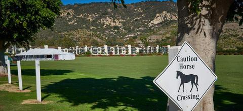 3375 Foothill Rd #814, Carpinteria, CA 93013 photo 18