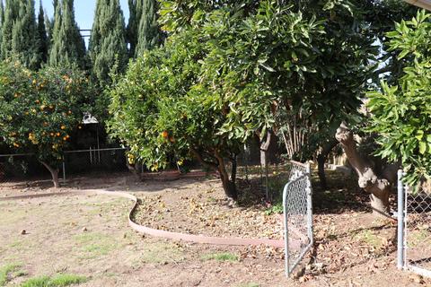 1991 Jose Ave, Camarillo, CA 93010 photo 11