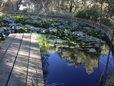 2101 Refugio Rd, Goleta, CA 93117 photo 13