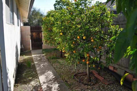 95 Bristol Pl, Goleta, CA 93117 photo 29