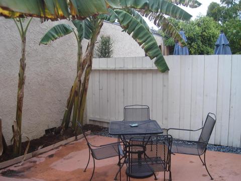 6015 Jacaranda Way #D, Carpinteria, CA 93013 photo 11