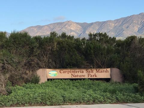5455 8th St #7, Carpinteria, CA 93013 photo 9