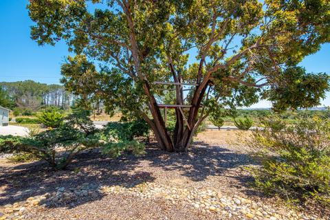 1386 Onstott Rd, Lompoc, CA 93436 photo 30