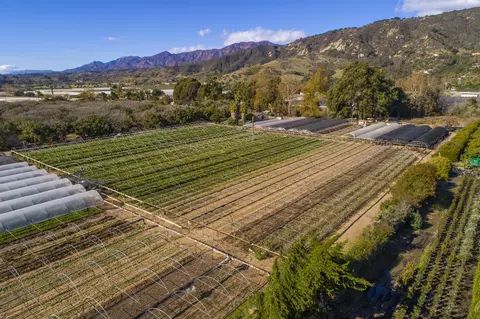 3684 Via Real, Carpinteria, CA 93013 photo 7