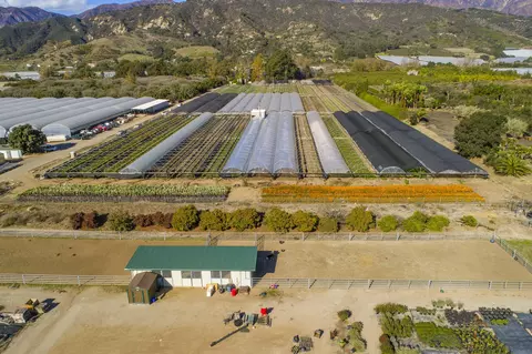 3684 Via Real, Carpinteria, CA 93013 photo 8