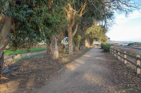 6367 Lagunitas Ct, Carpinteria, CA 93013 photo 25