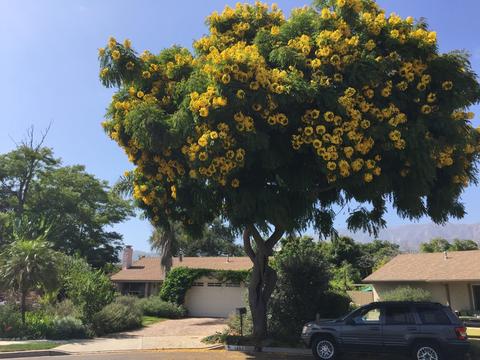 1493 Chapparral Dr, Carpinteria, CA 93013 photo 1