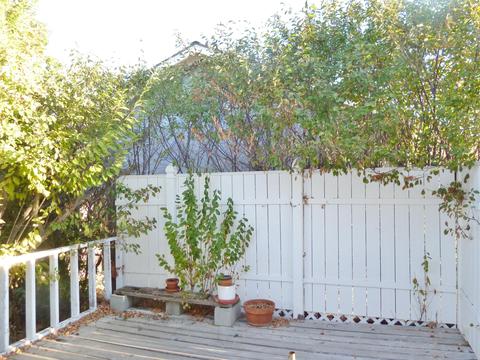 301 S Carrillo Rd, Ojai, CA 93023 photo 6