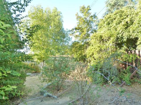 301 S Carrillo Rd, Ojai, CA 93023 photo 17