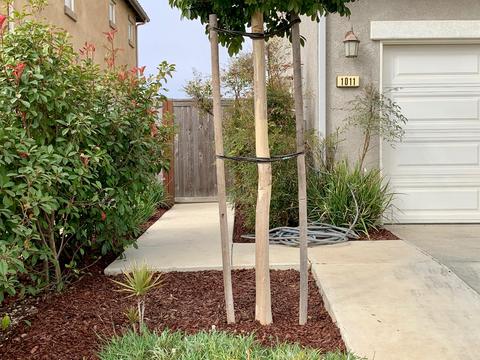 1011 Honda Way, Lompoc, CA 93436 photo 5