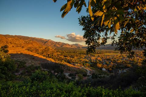 1605 Daly Rd, Ojai, CA 93023 photo 5