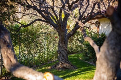 1605 Daly Rd, Ojai, CA 93023 photo 42