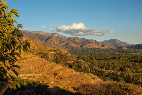 1605 Daly Rd, Ojai, CA 93023 photo 49
