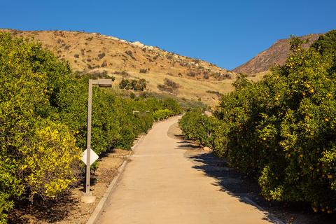 1605 Daly Rd, Ojai, CA 93023 photo 53