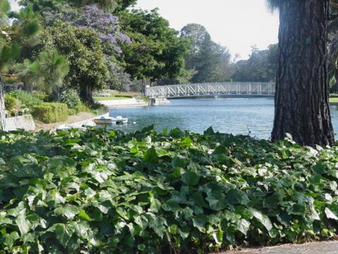 945 Ward Dr #122, Goleta, CA 93111 photo 25