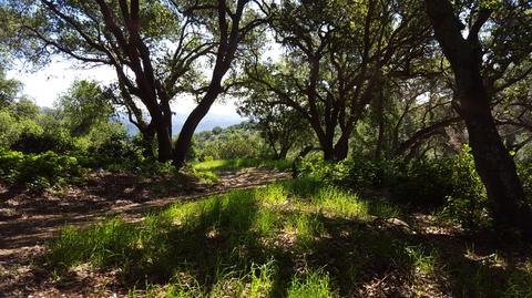 2097 Refugio Rd, Goleta, CA 93117 photo 14